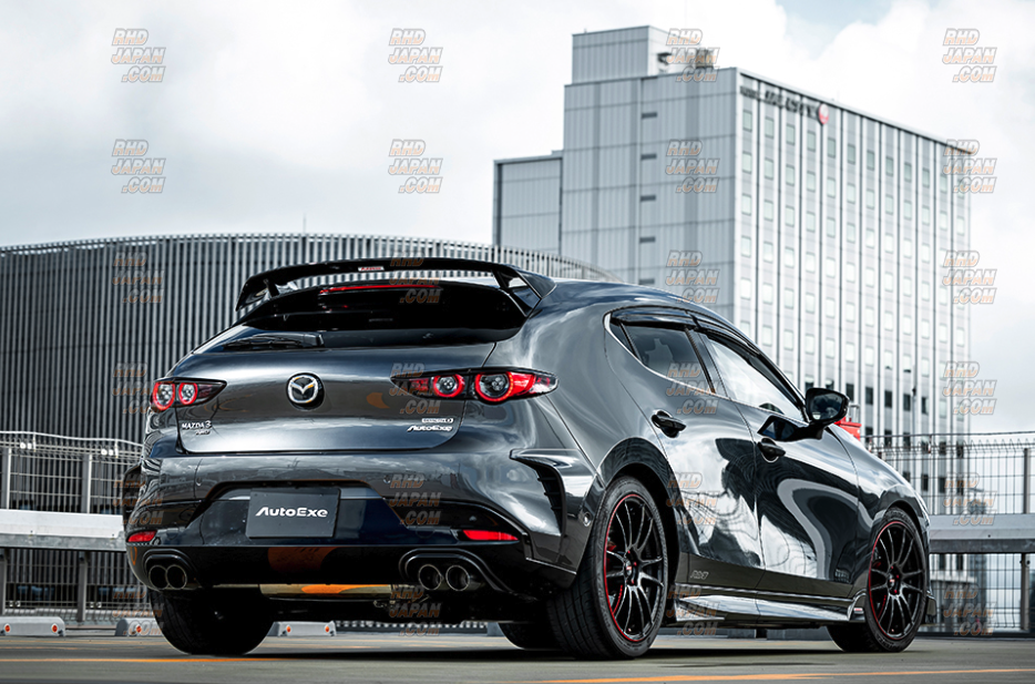 AutoExe BP-06S Styling Kit Rear Side Cowl Set Machine Gray Premium
